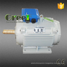 20kw Alternator with 220V 50Hz 380V Output